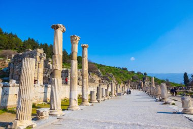 Efes 'in kalıntıları antik şehir. Hindi konsepti fotoğrafını ziyaret et. İzmir Türkiye - 2.1.2025