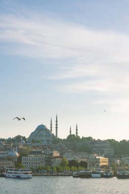 İstanbul arka planı. Gün batımında gökyüzünde martılarla Süleyman Camii manzarası.
