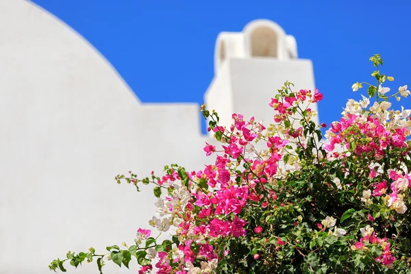 Den grekiska ön Santorini — Stockfoto