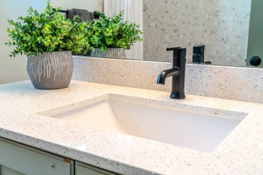 Beyaz seramik lavabosu ve yapay bitkinin yanında siyah musluğu olan banyo vanası.