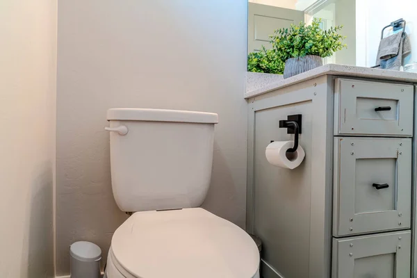 Toilet beside the bathroom vanity with artificial potted plant on the countertop — Stock Photo, Image