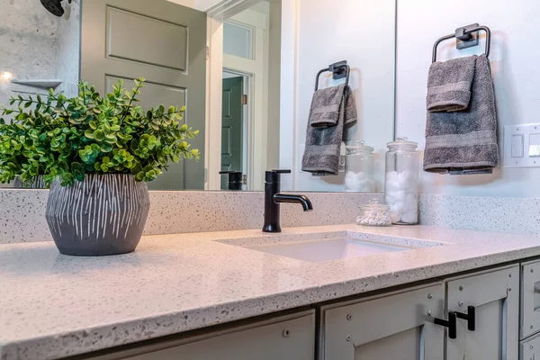 Tutup kamar mandi kesombongan dengan tanaman buatan di samping wastafel dan keran hitam — Stok Foto