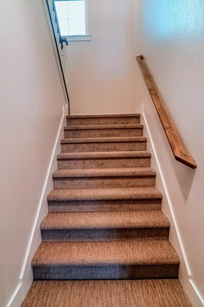 Stairway inside home with wall mounted wooden handrail and carpet on the treads
