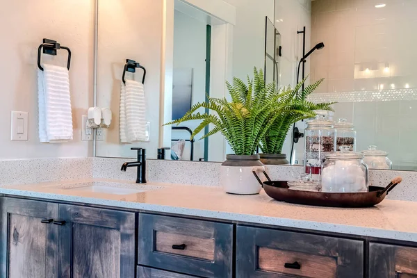Tocador de baño con fregadero planta en maceta y bandeja de artículos de higiene sobre gabinetes — Foto de Stock