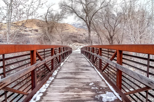 Puente de madera sobre arroyo en la montaña con árboles sin hojas en el día de invierno nevado — Foto de Stock