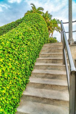Long Beach California 'da yaya köprüsünden çıkan beton merdivenler.