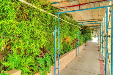 Long Beach California 'daki kaldırımda iskeleyle inşaata giderken.