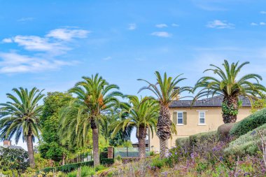 Lush green trees and houses at the scenic neighborhood of Huntington Beach CA