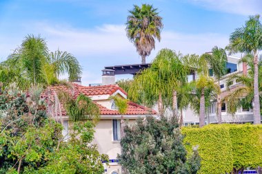 Beautiful houses in Huntington Beach California neighborhood with lush trees
