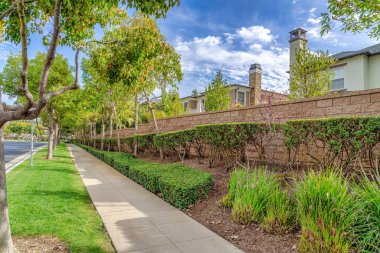 Road and pathway lined with lush trees and plants along houses with stone fences