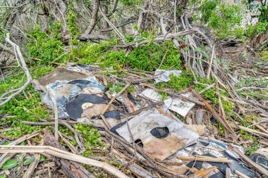 Discarded compact discs wastes on the forest ground in San Diego California