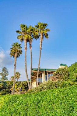 San Diego California 'da güneşli mavi gökyüzü arka planına karşı ev ve palmiye ağaçları