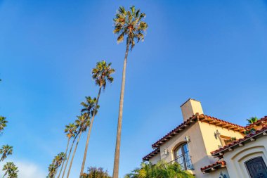 San Diego California 'da açık mavi gökyüzü altında palmiye ağaçları ve ev
