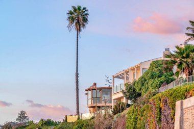 San Diego kıyılarındaki palmiye ağaçları ve evler güneş batarken gökyüzüne karşı.