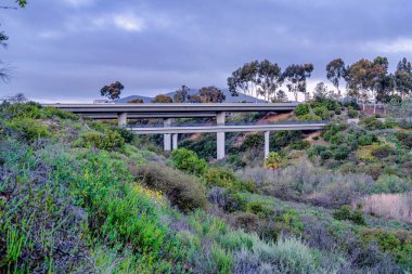 San Diego California 'da yemyeşil yapraklarla kaplı bir köprü.