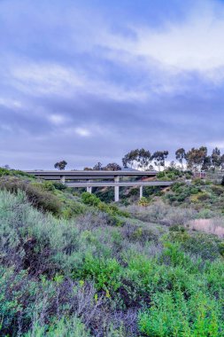 San Diego California 'da bulutlu mavi gökyüzüne karşı ağaçlarla dolu bir köprü.