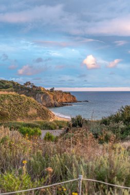 Okyanus ve uçurum Laguna Sahili 'nde bulutlu gökyüzüne karşı ön planda yeşilliklerle
