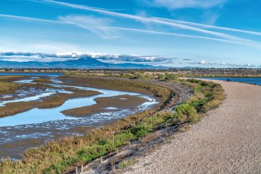 Bataklıklar ve manzaralı Bolsa Chica Doğa Koruma Alanı 'ndaki sahil kum tepelerinin ortasındaki toprak yol