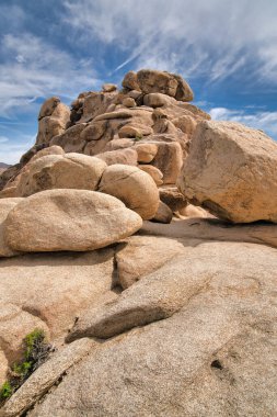 Joshua Tree Ulusal Parkı 'nın çölünde bir dağ oluşturan dev kayalar.