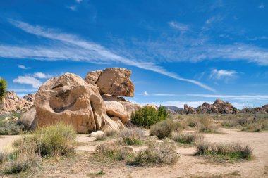 Joshua Tree Ulusal Parkı 'ndaki dev kayalıklarla doğa yürüyüşü manzarası.