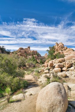 Güneşli bir günde Joshua Tree Ulusal Parkı 'nda devasa kayalar ve yürüyüş yolları