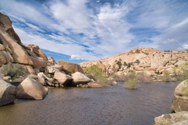 Joshua Tree Ulusal Parkı Kaliforniya 'da doğa yürüyüşü yaparken dere manzarası
