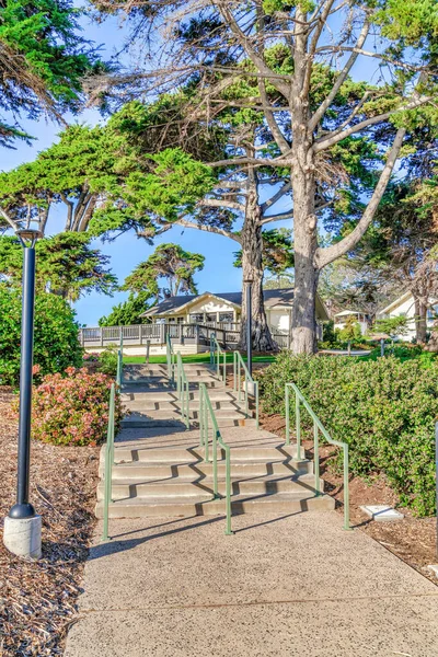 Venkovní schody mezi stromy a rostlinami ve slunečném parku v San Diegu Kalifornie — Stock fotografie
