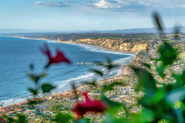 Flor borrada contra a vista aérea do mar e da terra na costa da Califórnia em San Diego — Fotografia de Stock