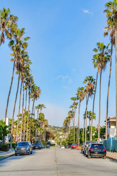 Αυτοκίνητα σταθμευμένα στην πλευρά του δρόμου επενδεδυμένα με ψηλούς φοίνικες San Diego Καλιφόρνια — Φωτογραφία Αρχείου