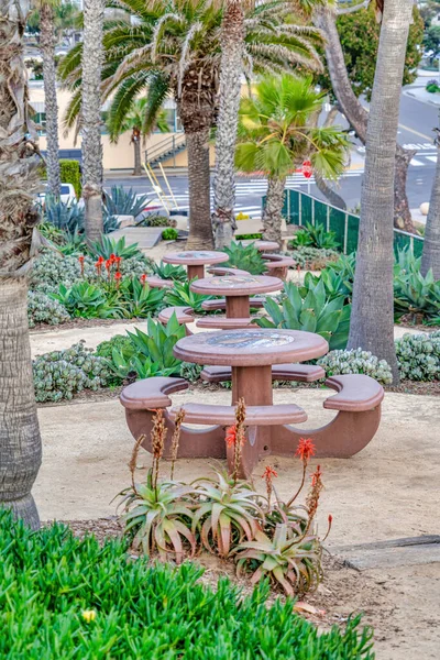 Πάρκο με φοίνικες και τραπεζάκια με καθίσματα στο Σαν Ντιέγκο Καλιφόρνια — Φωτογραφία Αρχείου