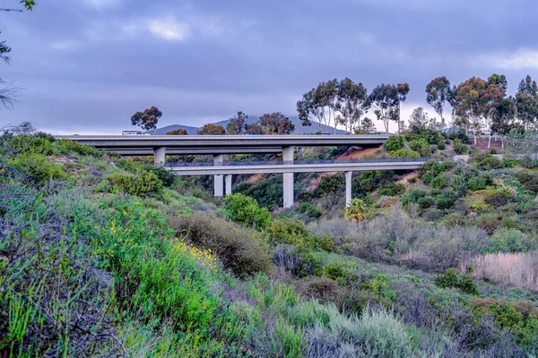 Most nad górą pokryty bujną zielenią w San Diego California — Zdjęcie stockowe