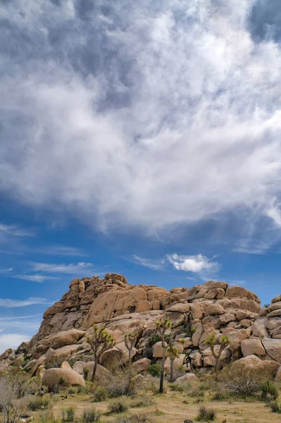 Гора з величезних каменів і рослини Джошуа в національному парку Джошуа. — стокове фото