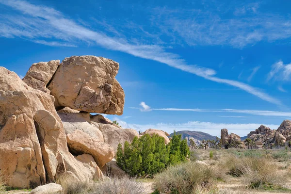 View of giant rock formations on a hiking trail at Joshua Tree National Park. — Stock Photo, Image