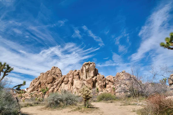 Чагарники та гігантські скелі в національному парку Джошуа - Трі (Каліфорнія). — стокове фото