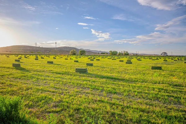 Utah Valley agricultural landscape of farmland with vibrant green pasture — Stock Photo, Image