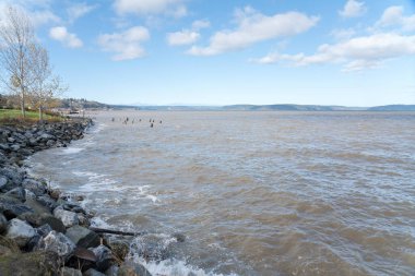 Washington 'da Tacoma' da kayalık bir sahil şeridi.
