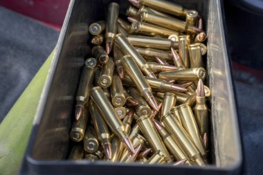 Dikdörtgen siyah bir konteynırın içinde 223 bakır mermi var.