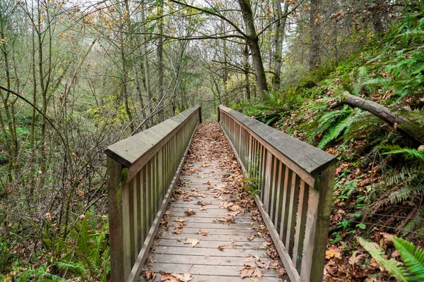 Jalan setapak kayu lurus di tengah hutan di Tacoma, Washington — Stok Foto