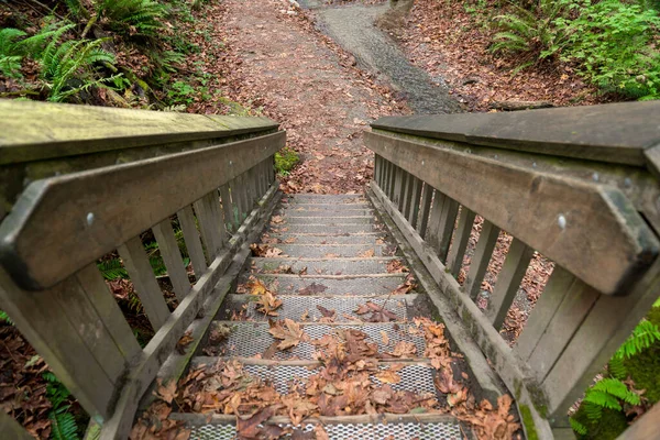 Tacoma, Washington 'da metal basamaklı tahta merdiven ve kuru yapraklar. — Stok fotoğraf
