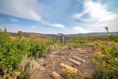 Çatı ve duvarlar gibi camları olan boş bir ev..