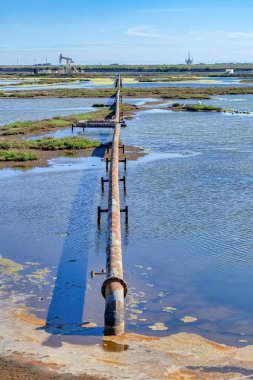 Bolsa Chica Ekolojik Rezervindeki sulak suların üzerindeki bir petrol platformunun paslı borusu.