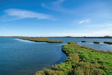 Bolsa Chica Ekolojik Rezervindeki geniş sulak alanların manzaralı manzarası
