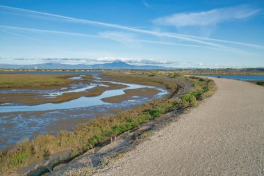 Manzara Bolsa Chica Ekolojik Rezerv alanı Huntington Sahili Kaliforniya