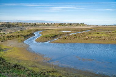 Bolsa Chica Ekolojik Rezervindeki sığ su ve çimenli sulak arazi