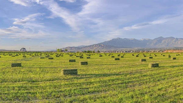 Pano Scenic green farmland panorama in Utah Valley with mountain and cloudy sky view — Stock Photo, Image