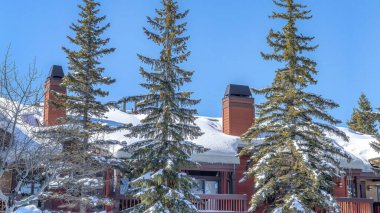 Pano Güzel evler, kışın derin karla kaplı bir tepenin üzerinde yüksek yeşillikler arasında.