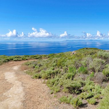 Crystal Cove State Park California 'da okyanusla birlikte uçurumun kenarındaki toprak yol ve çalılar.