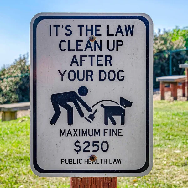 Square Clean Up After Your Dog sign against green grass and sky in San Diego California — Photo