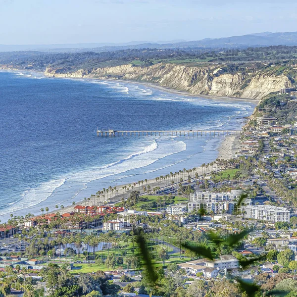 Square Ocean and waterfront properties in San Diego CA with blurry flower in foreground