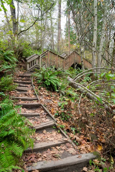 Uphill trail dengan tangga kayu mengarah ke jalan dengan kayu handrails di Tacoma, Washington — Stok Foto